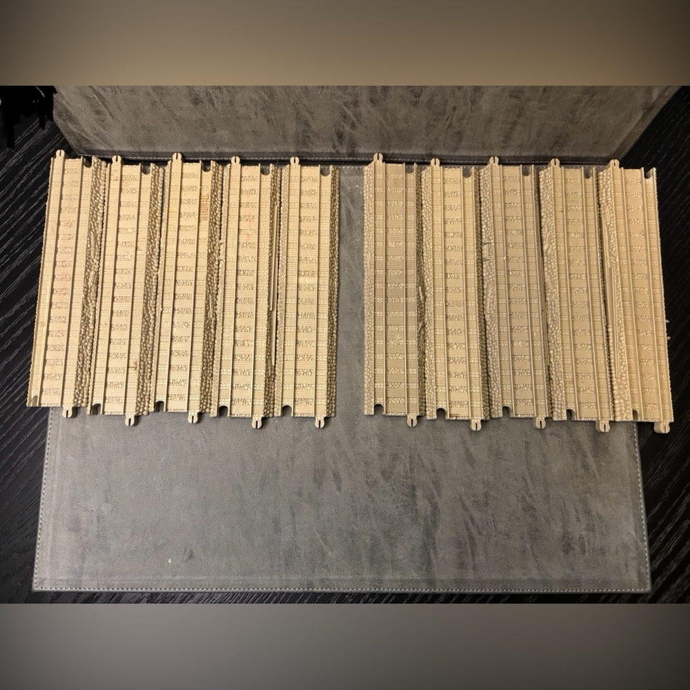 Thomas & Friends Ten Long Straight 8 inches plastic tracks